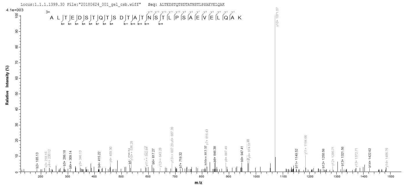 Human FPR1 / FPR Protein (Recombinant 10His-GST, N-terminus + Myc, C-terminus)
