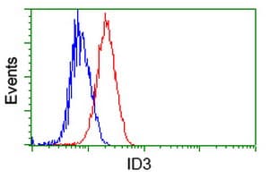 Monoclonal Mouse anti-Human ID3 Antibody (clone OTI15F4, IHC, IF, WB)