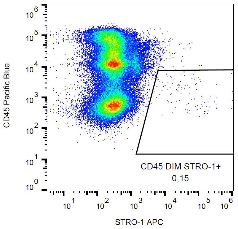 STRO-1 Antibody (clone STRO-1, APC)