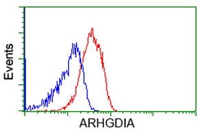 ARHGDIA / RHOGDI Antibody (clone OTI1F2, Carrier-free)