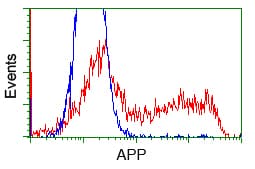 APP / Beta Amyloid Precursor Antibody (clone OTI7B8)
