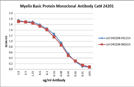 MBP / Myelin Basic Protein Antibody (aa147-158)