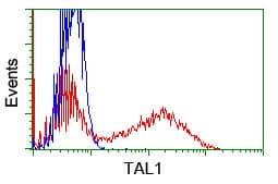 TAL1 Antibody (clone OTI5C4)