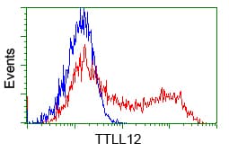 KIAA0153 / TTLL12 Antibody (clone OTI4E3, Carrier-free)