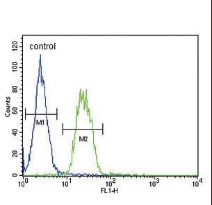 SLC6A12 / BGT-1 Antibody (aa9-38)