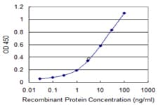 MLLT6 Antibody (clone 2B6)