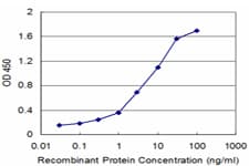 HOXB5 Antibody (clone 3F10)