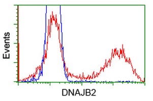 DNAJB2 Antibody (clone OTI4D12)