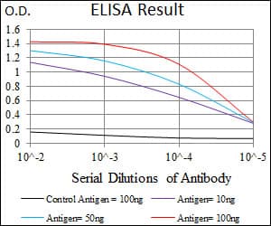 SLC27A5 / BACS Antibody (aa508-570, clone 9C4D1)
