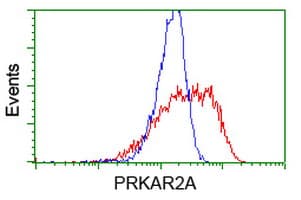 PRKAR2A Antibody (clone OTI1F8)