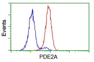 PDE2A Antibody (clone OTI4H8)