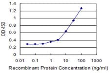 Monoclonal Mouse anti-Human ZNF44 / GIOT-2 Antibody (clone 4E2, IHC, WB)