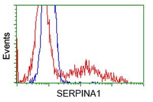 IHC-plus™ Monoclonal Mouse anti-Human SERPINA1 / Alpha 1 Antitrypsin Antibody (clone 9A1, IHC, WB)