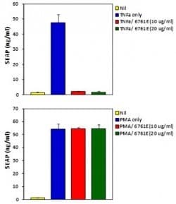 Monoclonal Mouse anti-Human TNF Alpha Antibody (clone 6N1E7, Azide-free, WB)