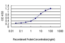FGL2 Antibody (clone 6D9)