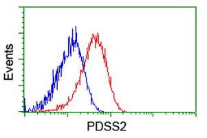 Monoclonal Mouse anti-Human PDSS2 / DLP1 Antibody (clone OTI1D2, IHC, WB)