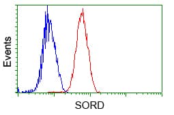 SORD / Sorbitol Dehydrogenase Antibody (clone OTI1D5)