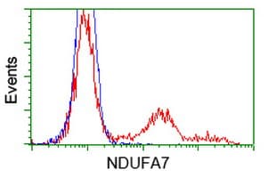 NDUFA7 Antibody (clone OTI3B2)