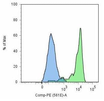 Monoclonal Mouse anti-Human FOLH1 / PSMA Antibody (clone GCP-05)