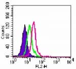 TLR6 Antibody (aa408-424, clone 86B1153.2, PE)