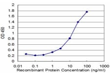 ZNF256 Antibody (clone 3H7)