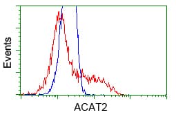 ACAT2 Antibody (clone OTI3E2)