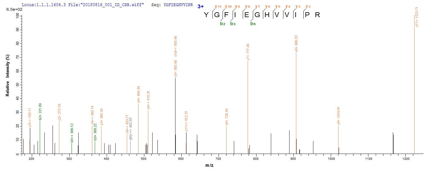 Human CD44 Protein (Recombinant 6His-SUMO, N-terminus)