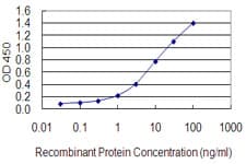Monoclonal Mouse anti-Human ZFP161 Antibody (clone 2F1, WB)