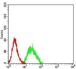 Monoclonal Mouse anti-Human FCRL5 / CD307 Antibody (clone 2A10D6, WB)