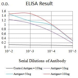 CAPN2 / Calpain 2 / M-Calpain Antibody (clone 2E2F2)