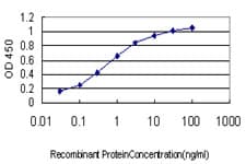 ZRANB2 / ZNF265 Antibody (clone 1D10)