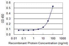 IHC-plus™ CELA1 / Pancreatic Elastase 1 Antibody (clone 4H5)