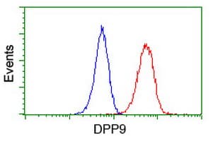 IHC-plus™ DPP9 Antibody (clone 6A12)