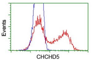 CHCHD5 Antibody (clone OTI3H3)