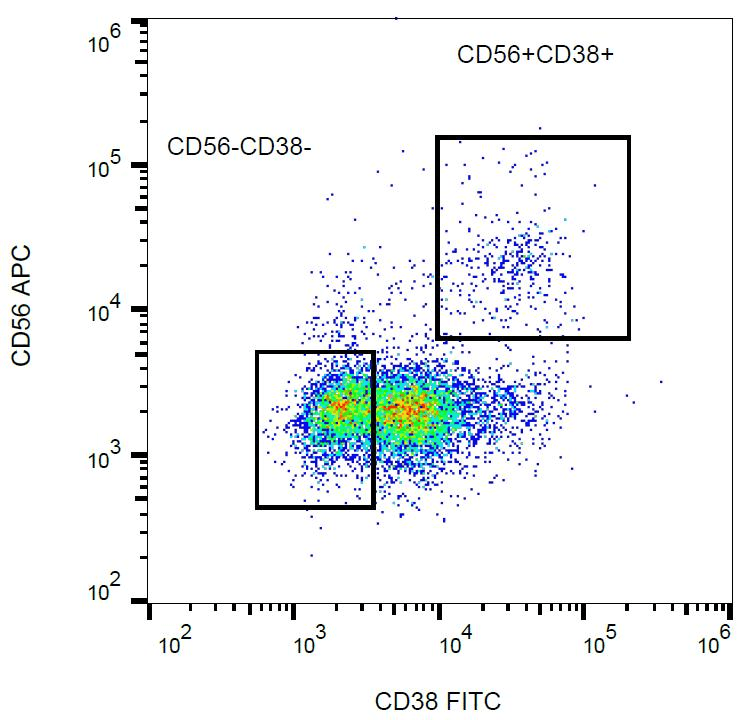 Monoclonal Mouse anti-Human CD38 Antibody (clone HIT2, FITC, IHC, WB)