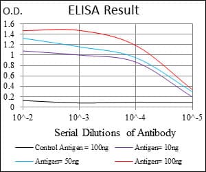 PathPlus™ MCAM / CD146 Antibody (aa84-189, clone 6C3E6)