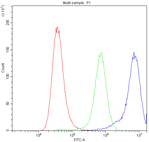 ATXN2 / SCA2 / Ataxin-2 Antibody (aa1293-1313)