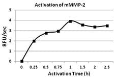 Mouse MMP2 Protein (Recombinant)