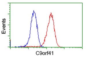 C9orf41 Antibody (clone OTI4A2, Carrier-free)