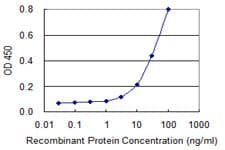 Monoclonal Mouse anti-Human SMCP Antibody (clone 4F4, WB)