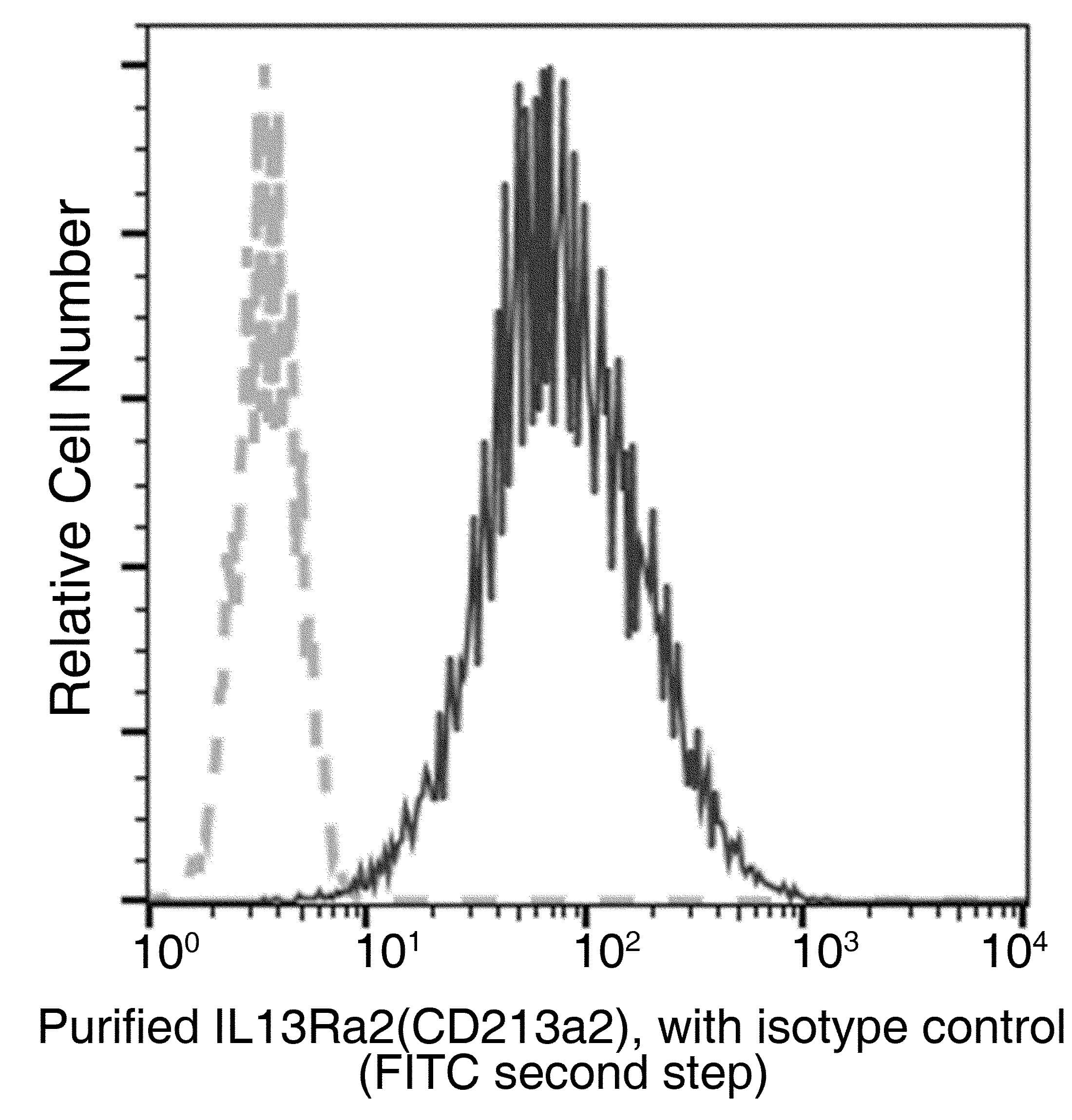 IL13RA2 / IL13R Alpha 2 Antibody (clone 018, Preservative Free)
