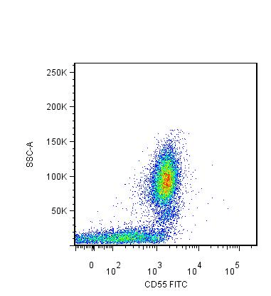 Monoclonal Mouse anti-Human CD55 Antibody (clone MEM-118, FITC, IHC)