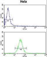 MOSC2 Antibody (aa270-300)