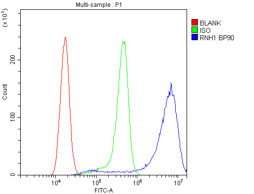 RNH1 Antibody (aa2-37)