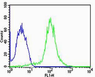 FBXL17 Antibody (aa262-297)