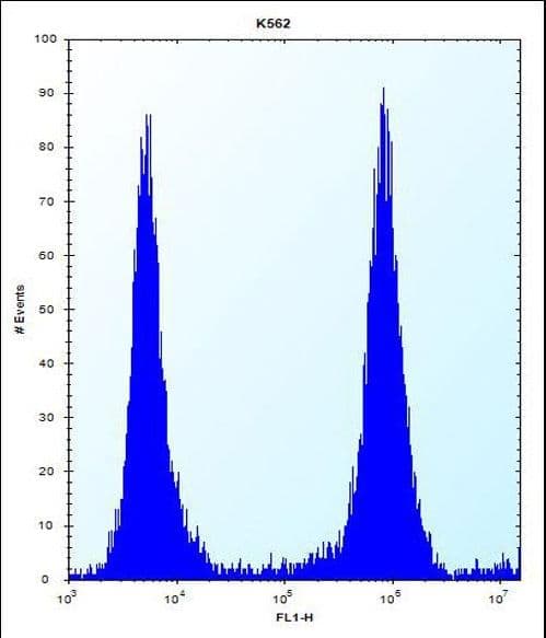 MCF2 / DBL Antibody (aa804-833)