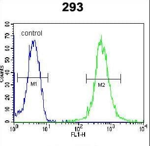 IHC-plus™ WDR48 Antibody (aa603-630)