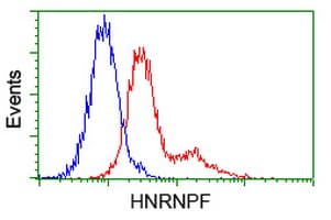 HNRNPF / hnRNP F Antibody (clone OTI5F5)