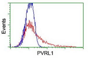 Nectin-1 / PVRL1 Antibody (clone OTI6E11, Carrier-free)