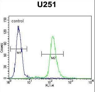 ACAP3 Antibody (aa101-130)